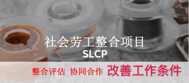SLCP社会劳工整合项目